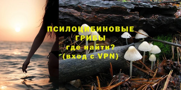 гидропоника Алзамай
