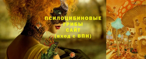 синтетический гашиш Алексеевка