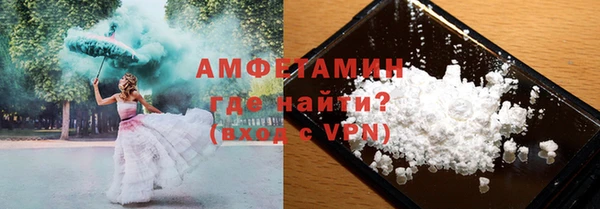 индика Весьегонск