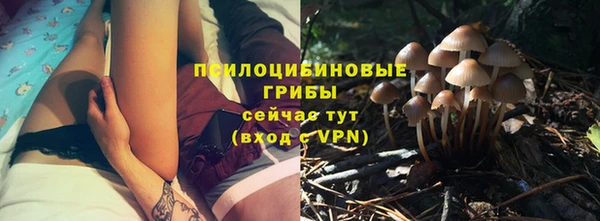 гидропоника Алзамай